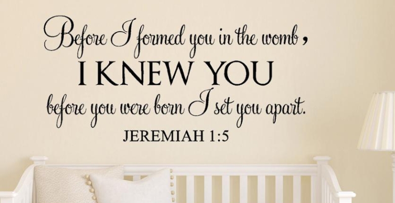 JEREMIAH-1-5-Before-I-formed-you-in-the-womb-Wall-Art-Stickers-Wall-Decals-Home