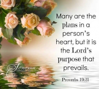Proverbs19-21_350x313